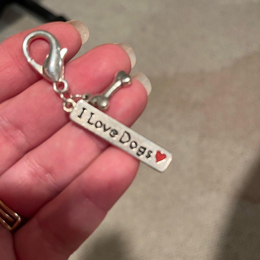 🐾Pet collar charm